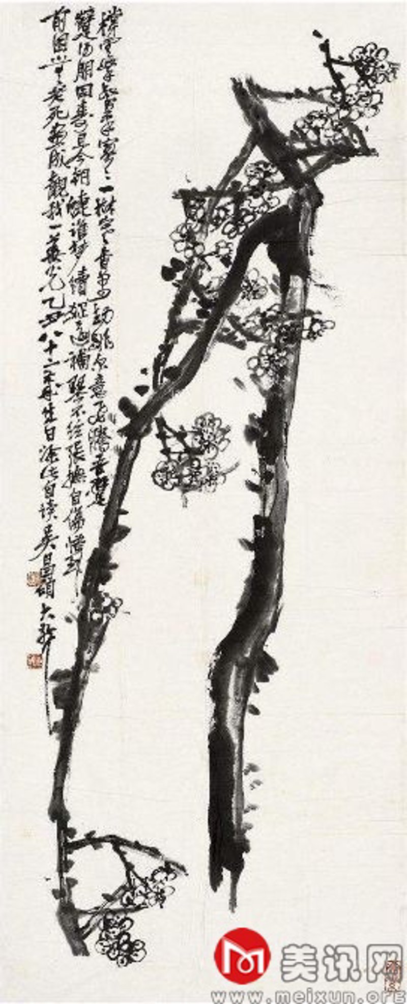 苦梅干
