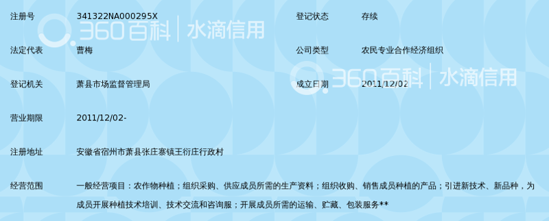 苦梅网登录:轻松开启数字生活新篇章