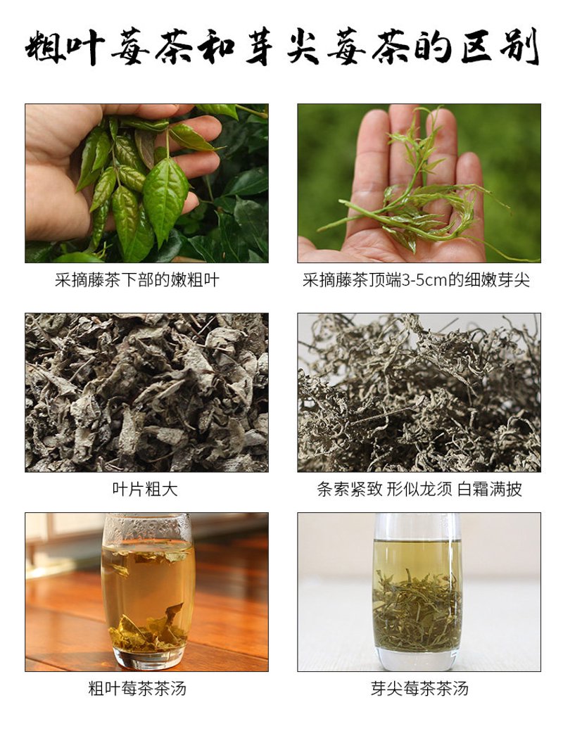 苦梅网站选购指南:打造专属于你的数字空间