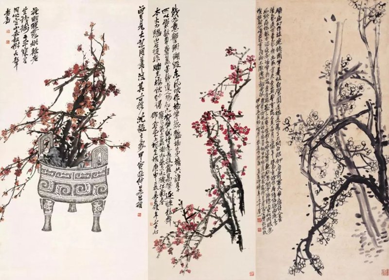 苦梅网：选购网络学习资源的完美指南